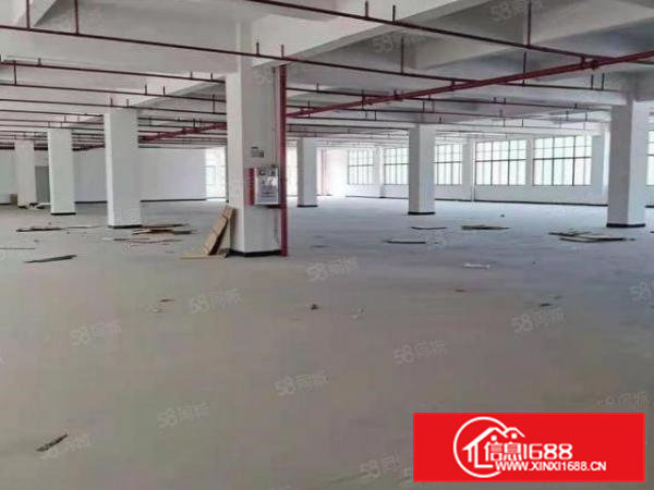 大岭山百花洞新出单层2800平全新厂房，原方东低价出租