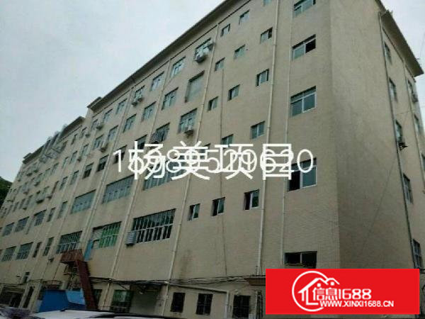 龙岗坂田地铁口独门独院红本厂房26000平盛大招租