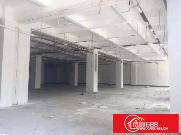 横岗一楼仓库2812平米，带卸货平台，可分租