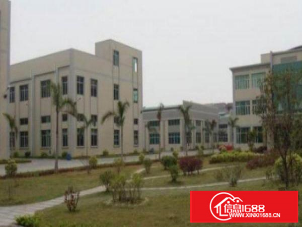 万江简沙洲标准楼上1000平方出租配有2吨标准货梯，水电齐全