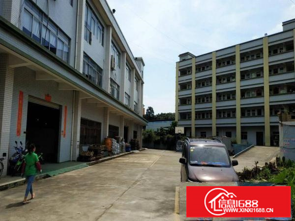 新圩镇原房东红本独院厂房7890平方证件齐全可办环评