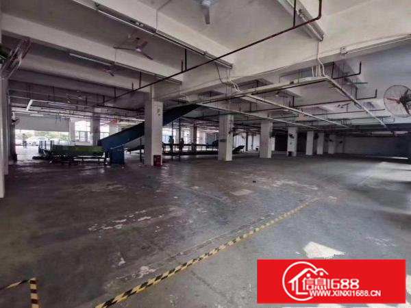 超大型园区新出整层5000平、可分租
