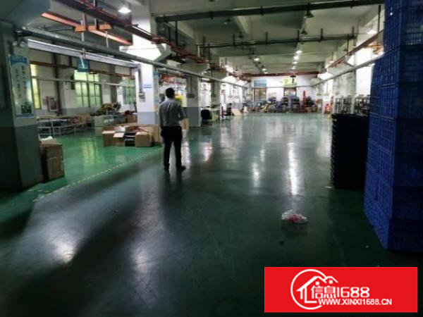 平湖新出带装修厂房2000平，200平起租