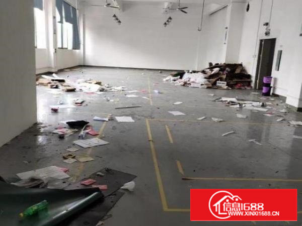 西乡桃源居恒丰工业城650平米带装修