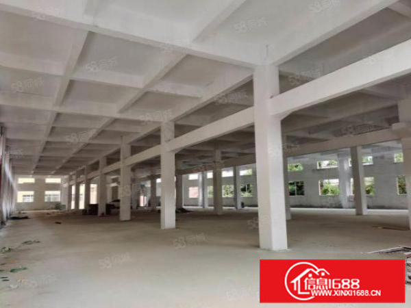 丹灶镇金沙联沙独门独院四层厂房，带独立办公宿舍6000平招租