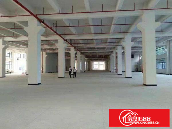 东莞独院厂房原房东便宜配宿舍食堂工业用地交通方便