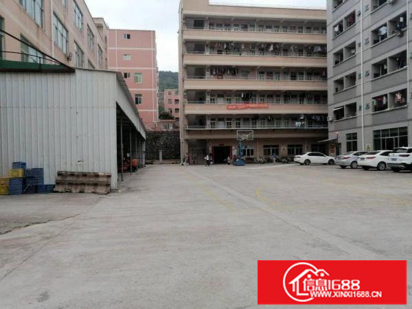 横岗安良沙河路边上新出单一层厂房260平米出租