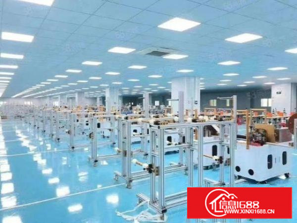 塘厦大坪原房东一楼独院厂房出租4900平方14元空地大带装修