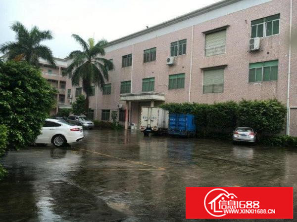 龙西原房东无公摊出租二楼1000平有装修适合电商办公电子