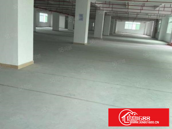 塘厦桥陇工业园标准1楼1560平方！可分租！消防合格