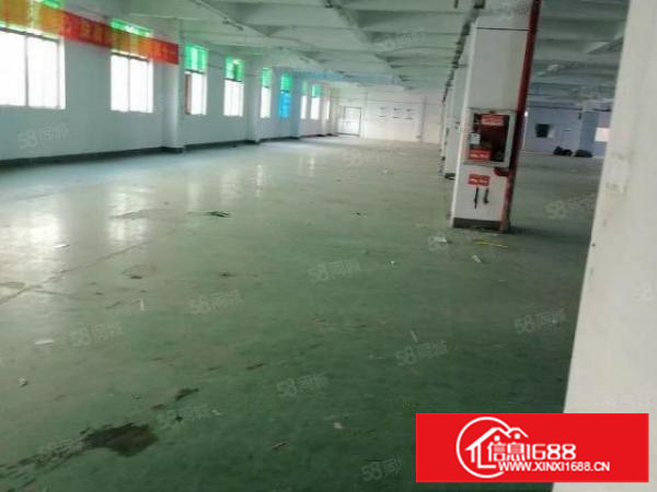 横岗安良1000厂房出租