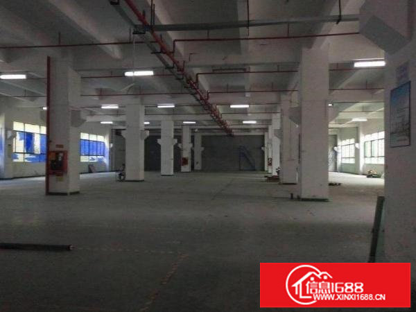 坪地一楼原房东1810平厂房可分租自带牛角