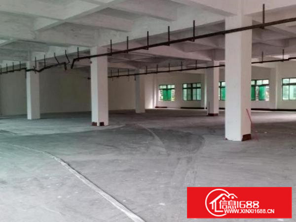 桥头镇工业厂房出租原房东可办环评