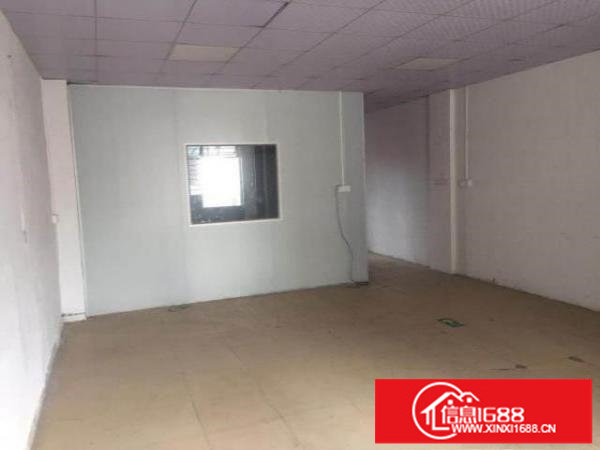 松岗红星新出楼上精装修厂房，107国道附近