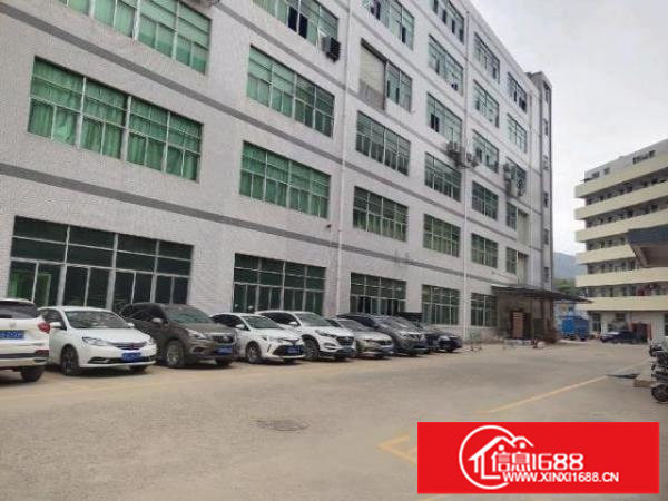 布吉上李朗带装修厂房300平500平至3000平大小分租