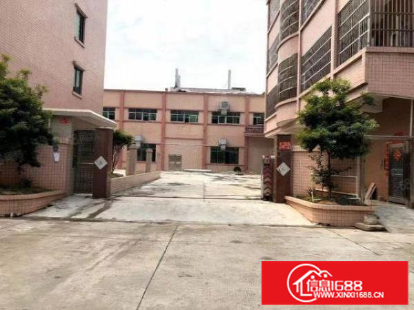 大朗富民二园新出标准厂房12层8000平米空地大欢迎来电