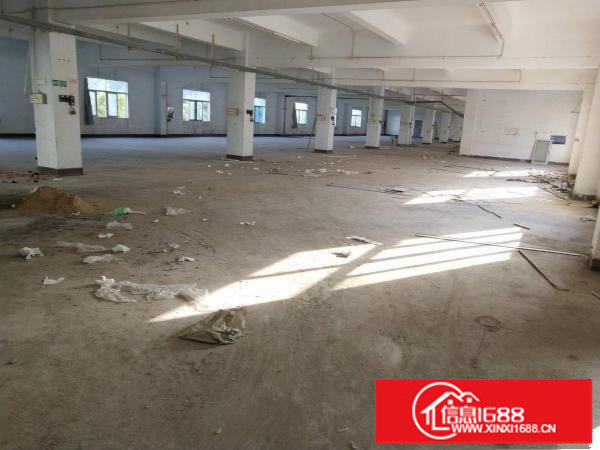 布吉上李朗带装修6米高一楼810平米厂房出租