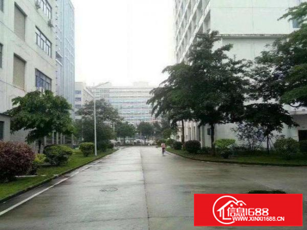 镇隆一楼800（7米高）平重工业厂房招租整租