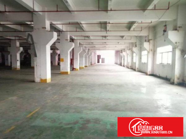 惠阳新墟工业区厂房一楼1000平楼上500平带牛角