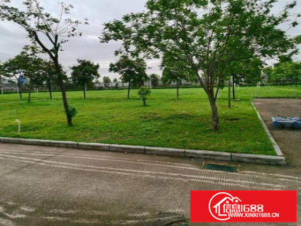 寮步镇靠近松山湖原房红本3.8万独门独院厂房招商