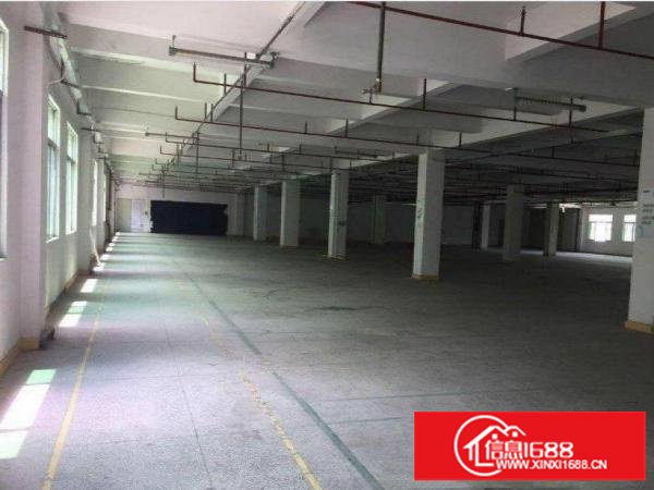 布吉丹竹头新出一楼500平米厂房招租