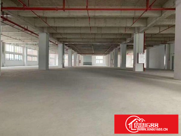 现成办公，独门院，可办环评，容桂5000方厂房出租