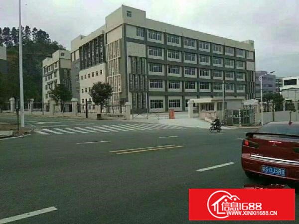 凤岗碧湖原房东独门独院全新厂房总面积31000平