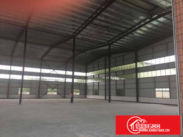 园洲/石湾镇大小9米高钢构独院厂房招租