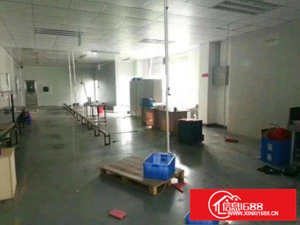 西乡簕竹角工业区或黄麻布工业厂房1000平米