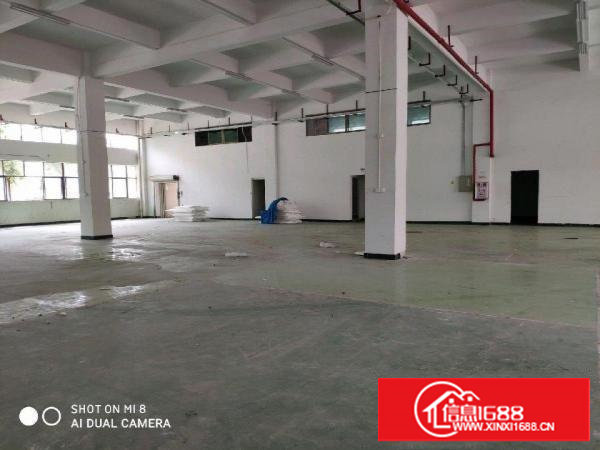 谢岗—龙璧工业园，标准厂房，带阁楼