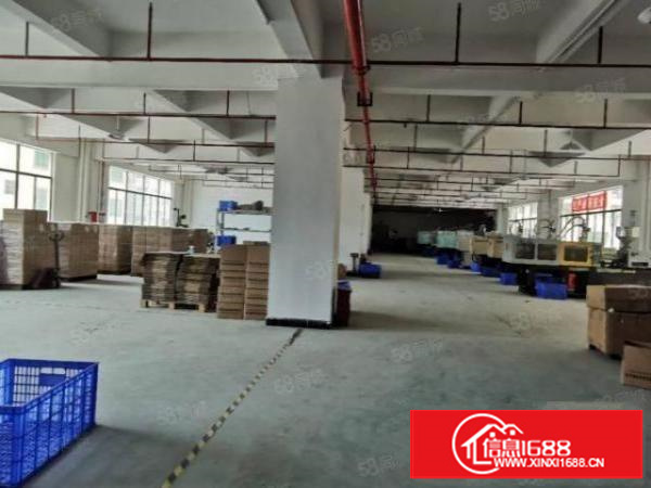 茶山镇工业聚集区原房东独院厂房7800平实际面积