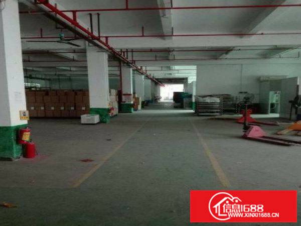 凤岗雁田标准厂房一楼2500平米出租价格实惠可分租