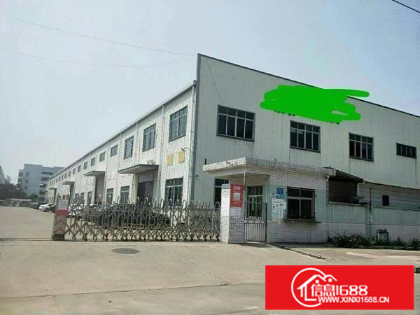 横沥镇新出单一层原房东独院厂房滴水十米3000平方可办环评