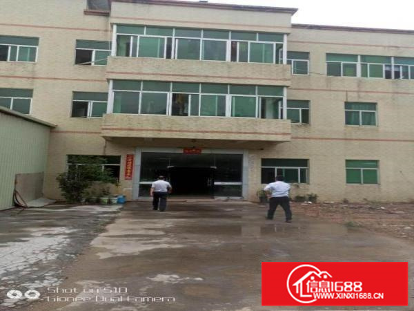 潼侨原房东新建砖墙到顶独院8800平8米钢构