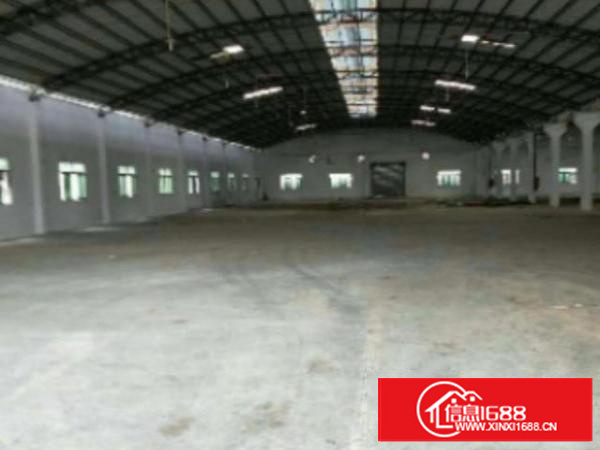 万江独院单一层钢构厂房出租3000平可分租滴水7米配电400