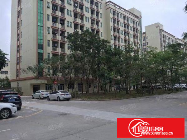 观澜原房东大型标准花园式工业区楼上1980平出租无转让费