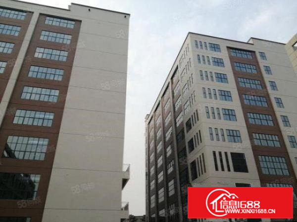 常平全新厂房出租,空地大形象好精装修,水电配套齐全