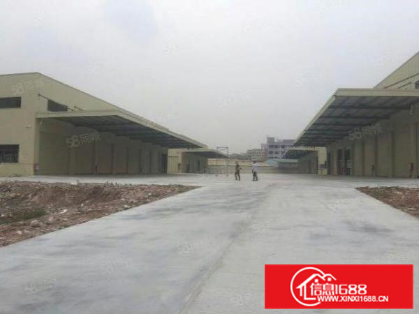 东莞大朗钢构独院厂房出租滴水10米空地大