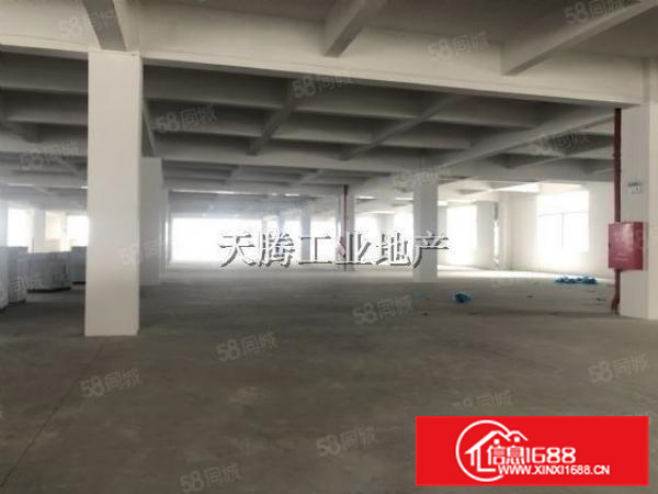 全新厂房出租免中介费配套齐全
