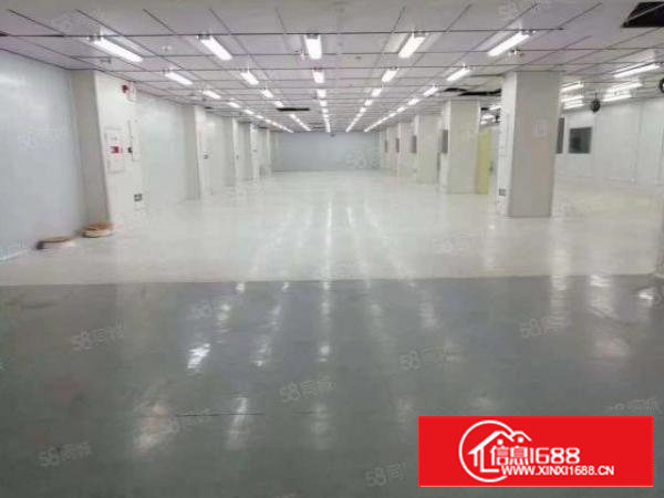 西乡宝田大型工业园厂房出租单层2600平开分1300平