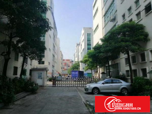 大浪华繁路边大型园区300平带装修厂房出租停车位充足