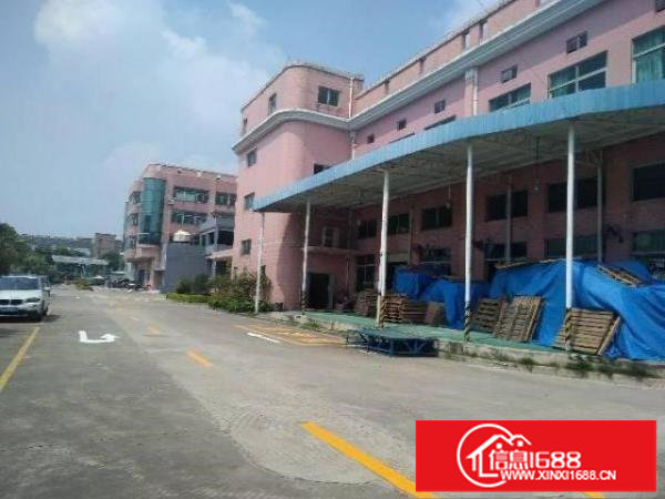 桥头地铁口楼上1200平米带精装修不要转让费