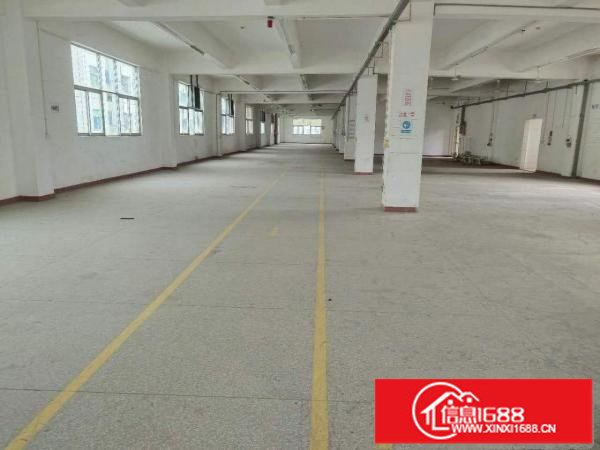 出租龙岗区横岗独院厂房，消防喷淋，3吨电梯