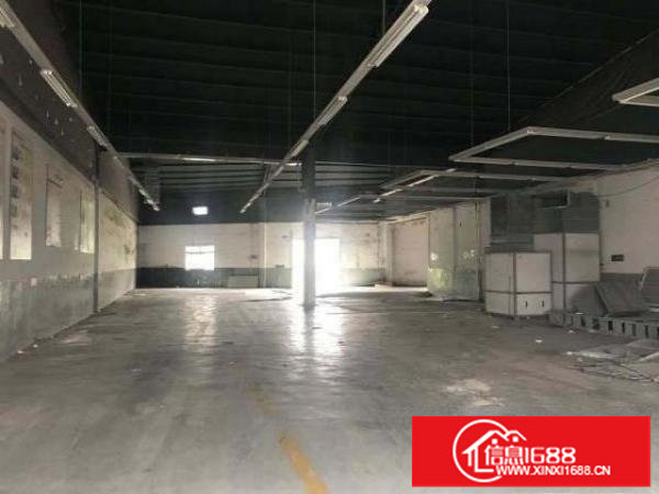 出租龙岗坂田南坑村一楼钢构1200平