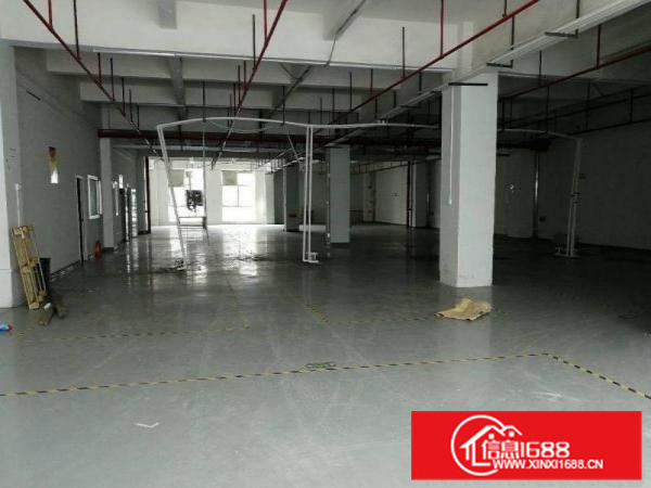 惠阳新墟全新单一层工业园招租、滴水八米，可办环评