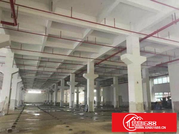 平湖标准一楼1183平米出租可分租