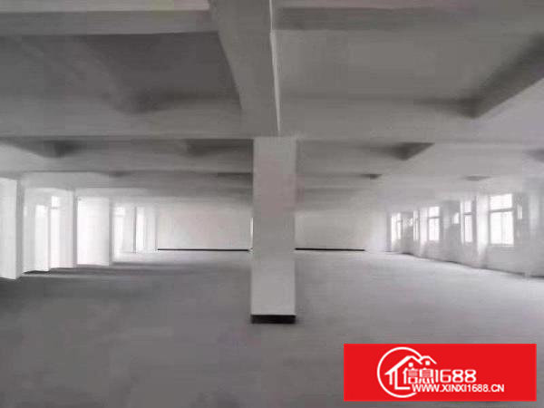 虎门北栅全新厂房出租单层面积3000可分租