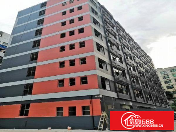 横岗荷坳新出楼上600平带精装修红本厂房