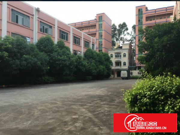 急租塘厦蛟乙塘楼上650平方厂房出租现成装修地段旺