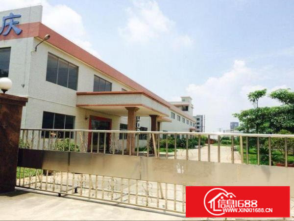 常平单一层钢结构一楼独院厂房出租总面积3000平带牛角可分租